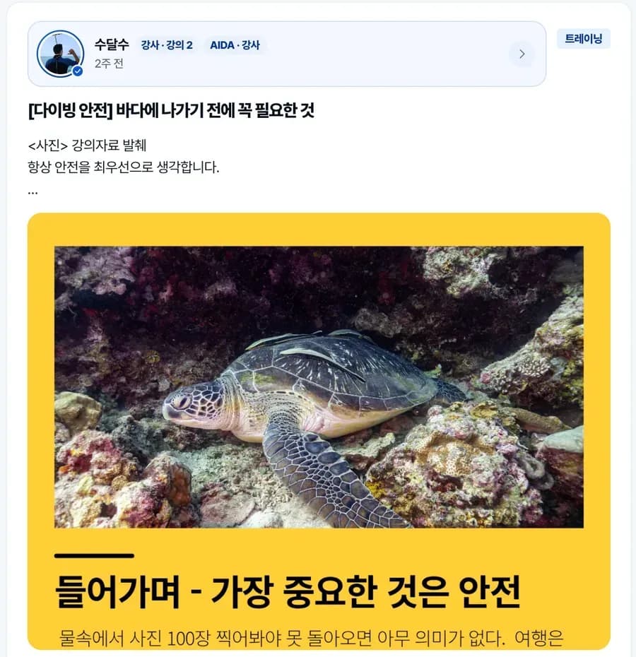 수달수 강사님의 브랜딩 페이지 화면