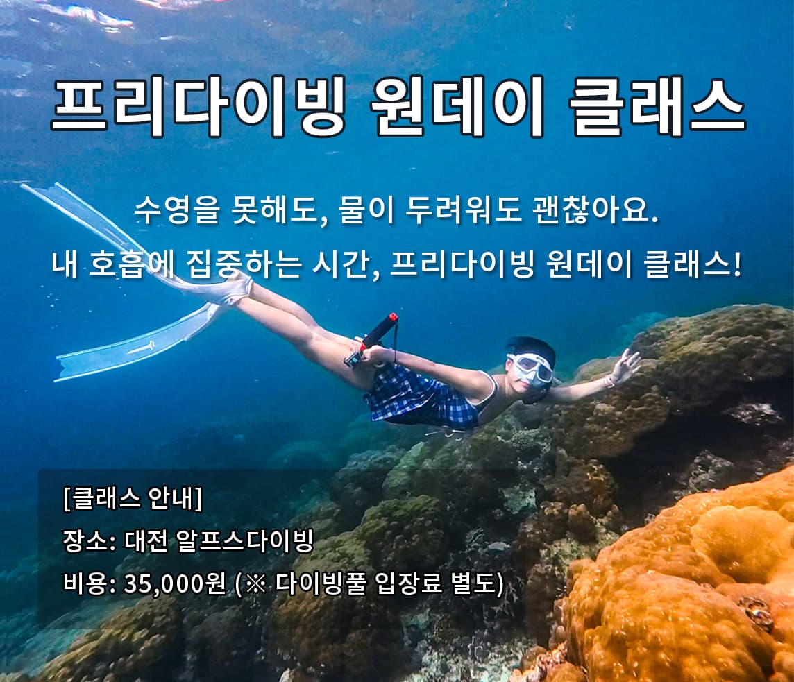 차차강사 게시물 사진