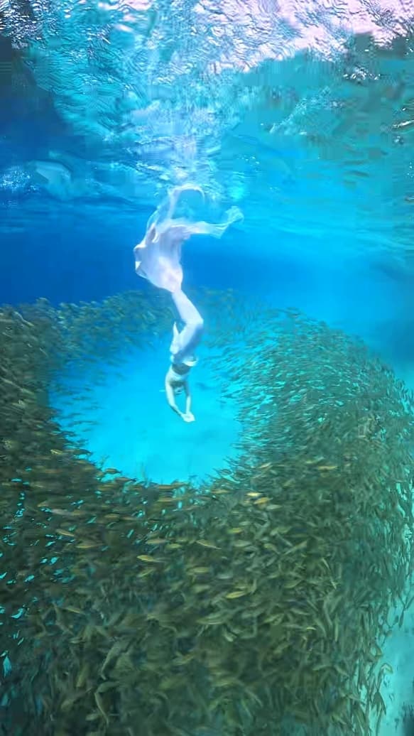 머메이드 강사 나디아와 함께 Ocean Trip 떠나보실래요? 🧜🏻‍♀️🌊 사진 1