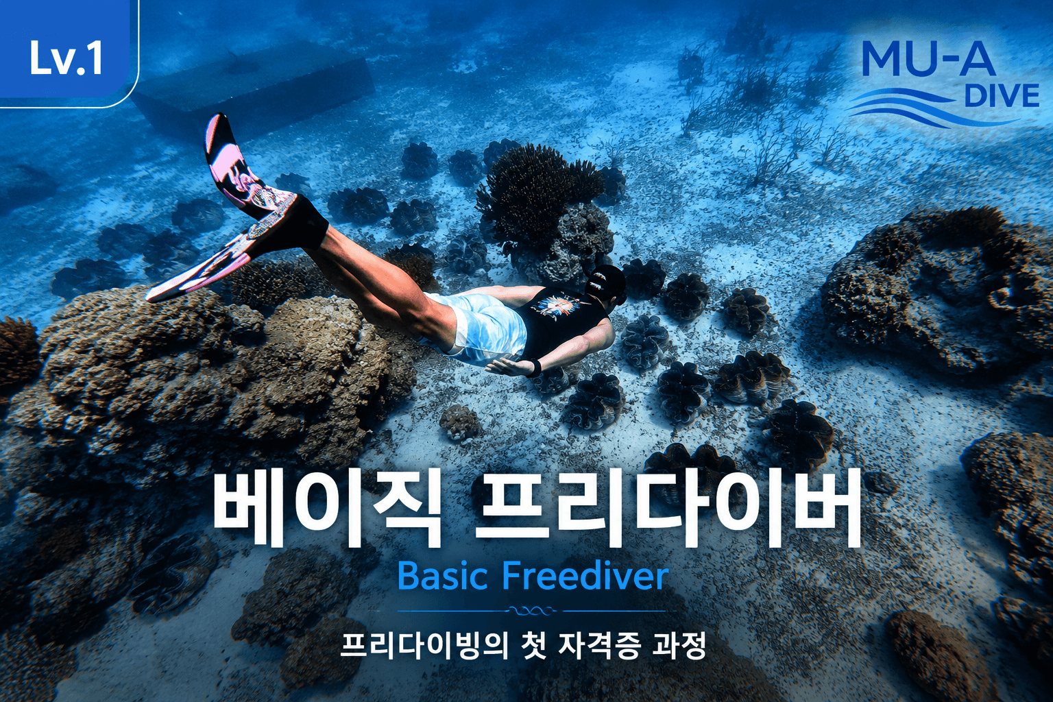 PADI Lv.1 베이직 프리다이버 강의 사진