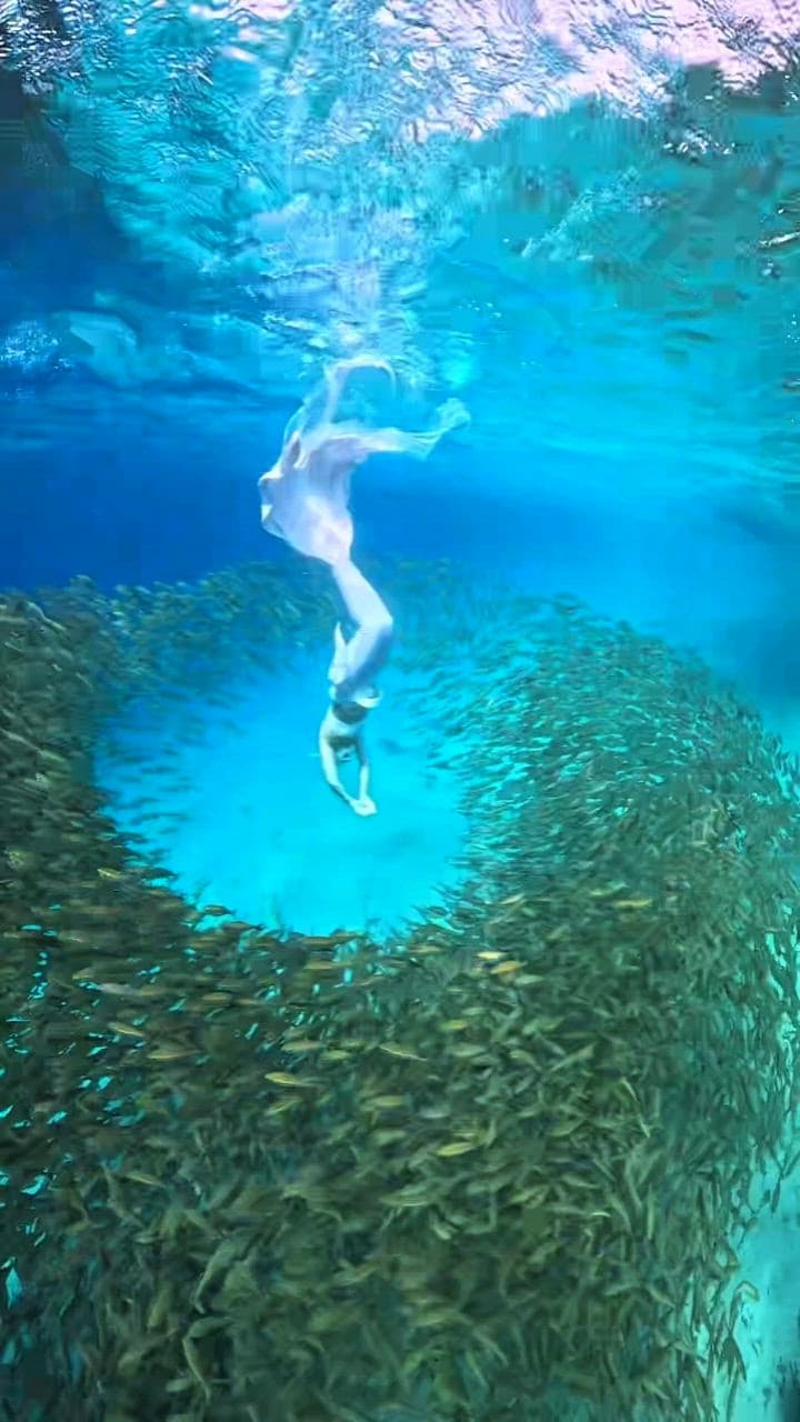 머메이드 강사 나디아와 함께 Ocean Trip 떠나보실래요? 🧜🏻‍♀️🌊 사진 2