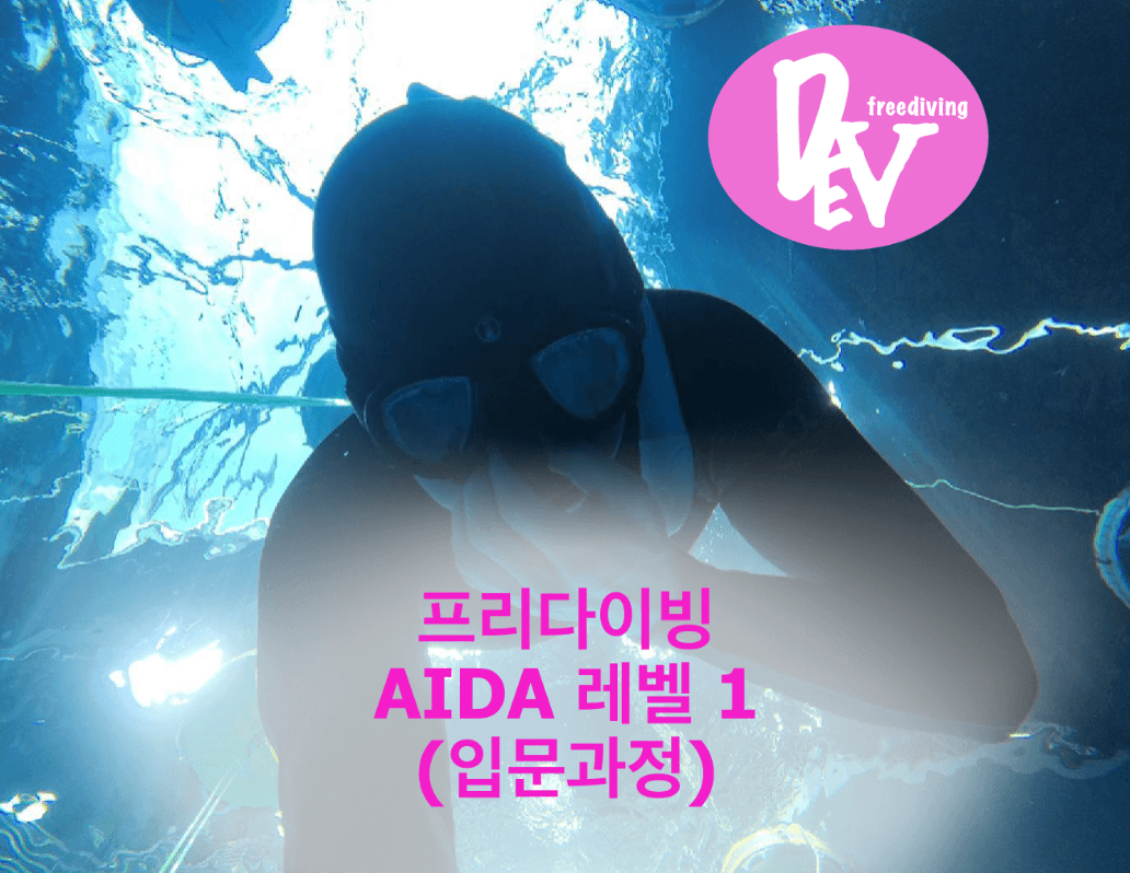 프리다이빙 AIDA 레벨 1 강습 강의 사진