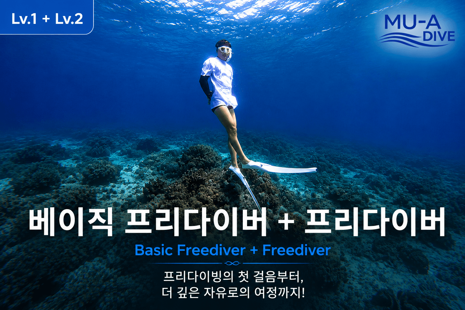 PADI Lv.1 + Lv.2 베이직 / 프리다이버 강의 사진 1