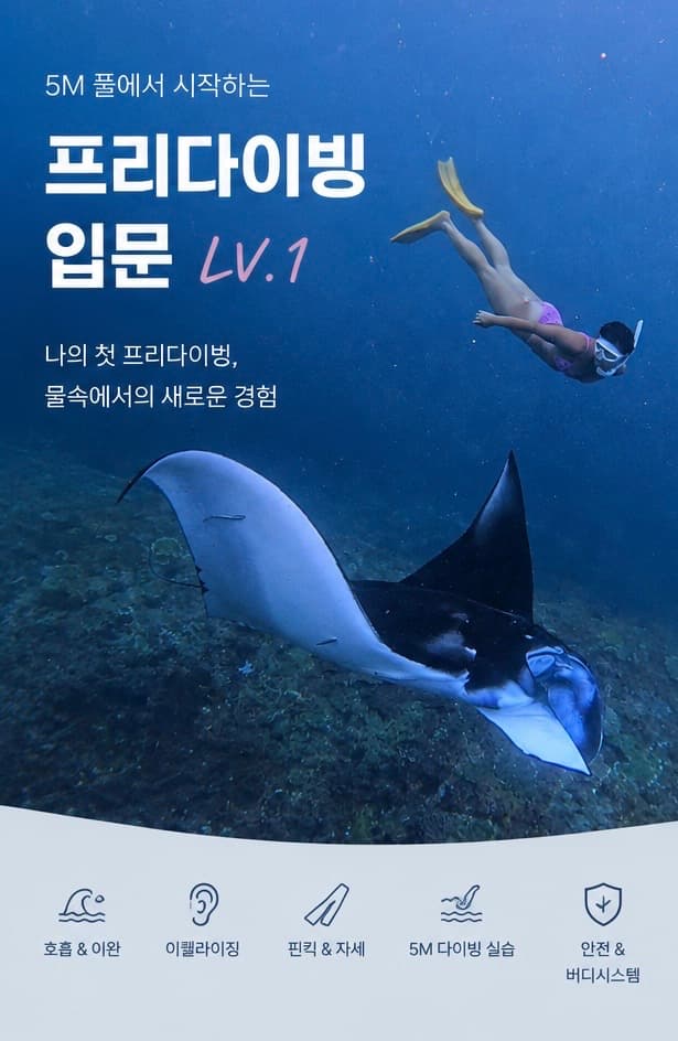 🌊 원데이프리다이빙 입문 LV.1 강의 사진