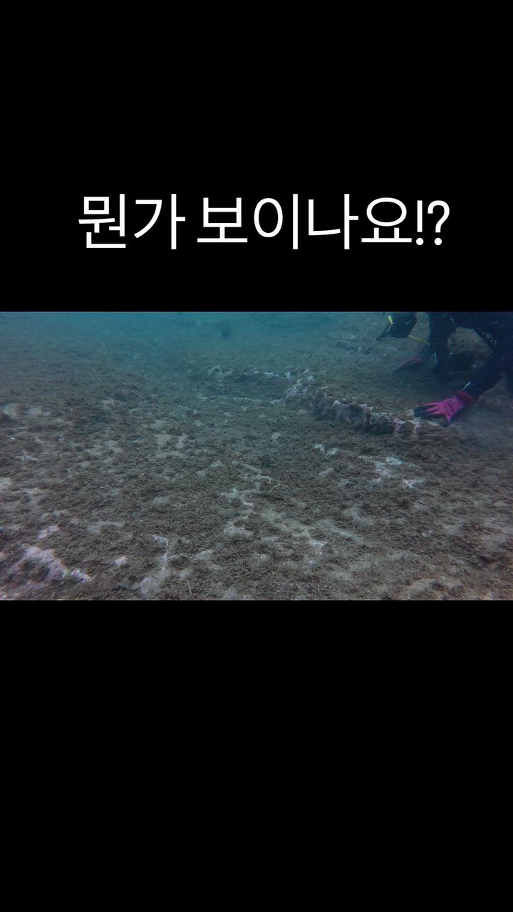 욕지도 광어 로켓 사진 1